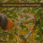 Die Bedeutung der Baumpflege